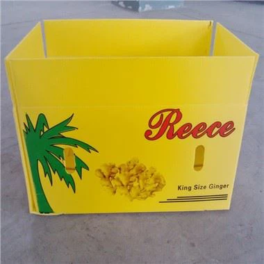 Caja de verduras de plástico corrugado PP