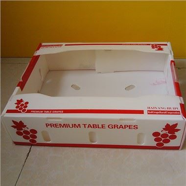Caja de plástico de embalaje de frutas