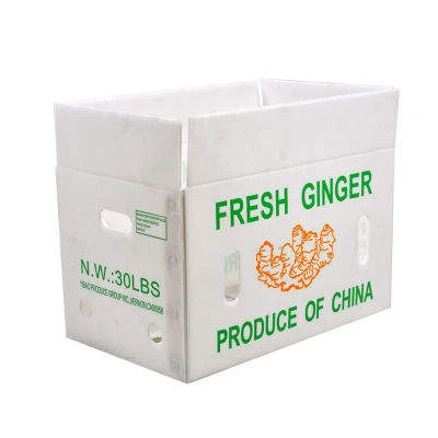 Caja de frutas y verduras de plástico corrugado reciclable