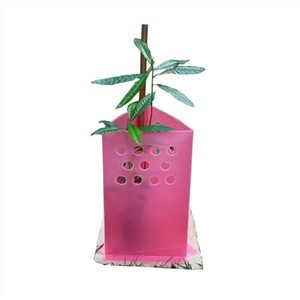 Protección UV Corflute Tree Guard