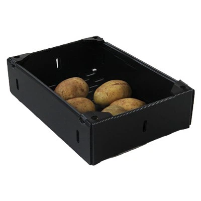 Cajas de verduras de rotación de plástico corrugado