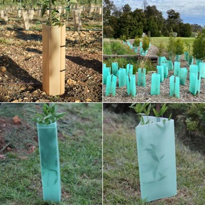 Protector de árbol de plástico PP ecológico-